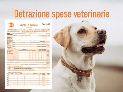 Detrazione delle spese veterinarie