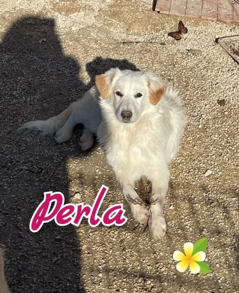 perladolce bimba nata a giugno 24