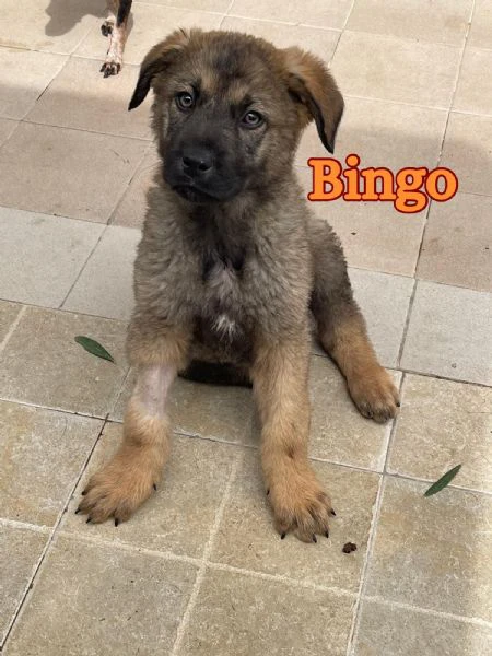 fatto…bingo!!   