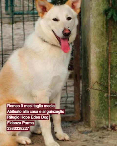 | Foto 4