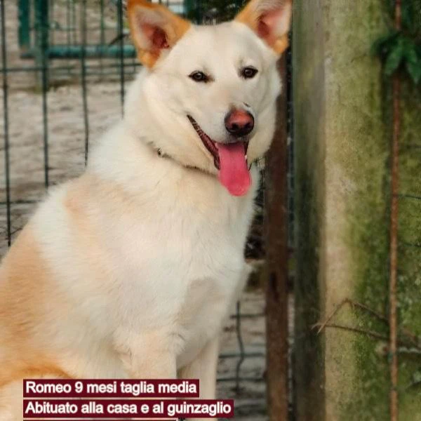  | Foto 2