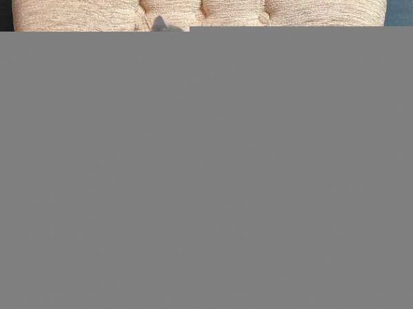 gatti british shorthair | Foto 1