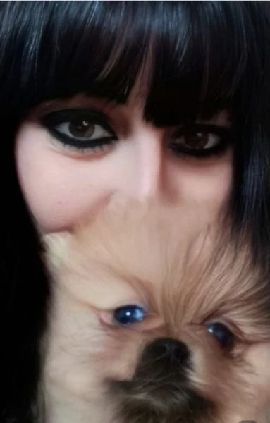cucciolo spitz | Foto 4