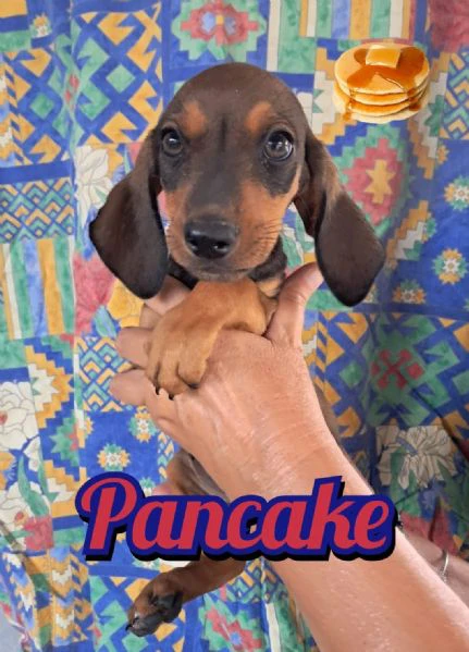 pancake della serie i dolcetti
