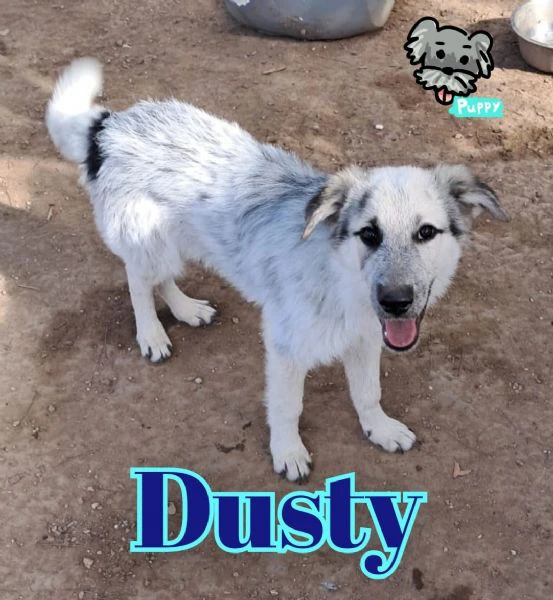 dusty nato ad aprile ‘25