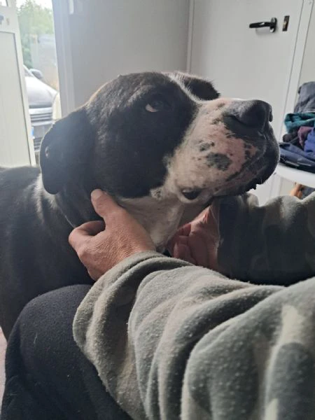 oliver patatone dolcissimo | Foto 0