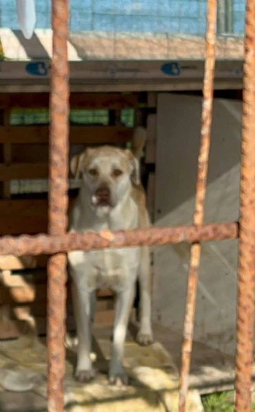 vasco chiede una famiglia | Foto 2