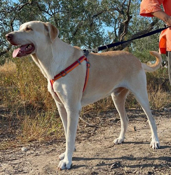 vasco chiede una famiglia | Foto 0