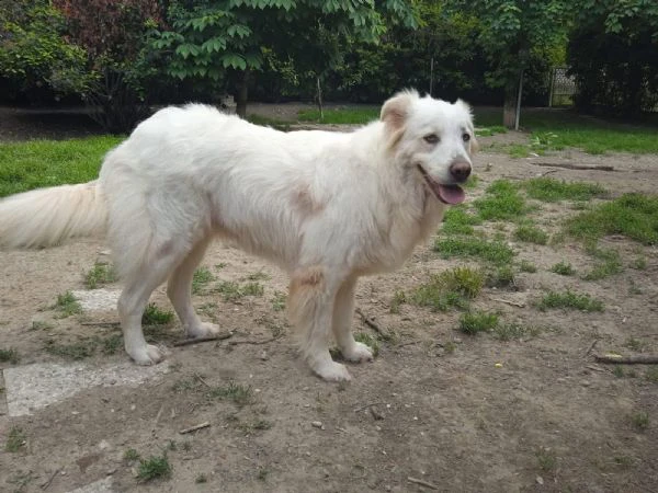 elodie dolce un po’ timida | Foto 2