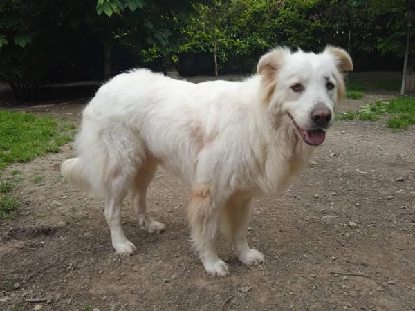 elodie dolce un po’ timida | Foto 1