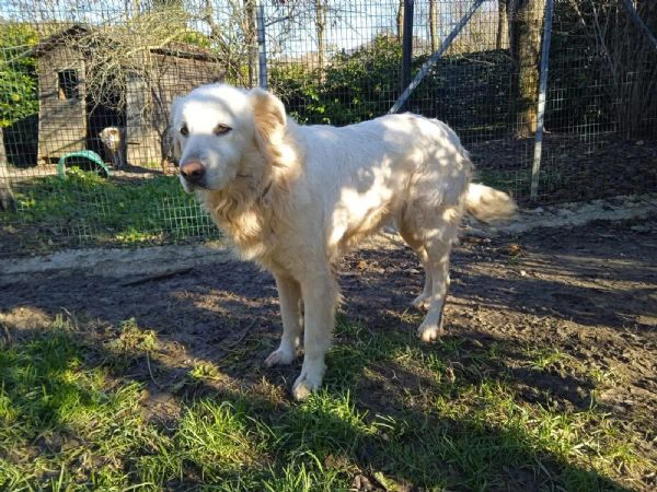 elodie dolce un po’ timida | Foto 0