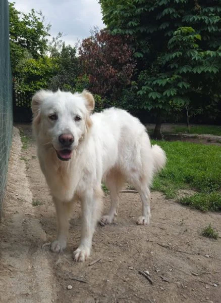 elodie dolce un po’ timida