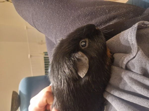 regalo papà e figlio giá abituati a stare insieme