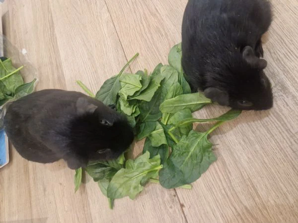 regalo papà e figlio giá abituati a stare insieme | Foto 3