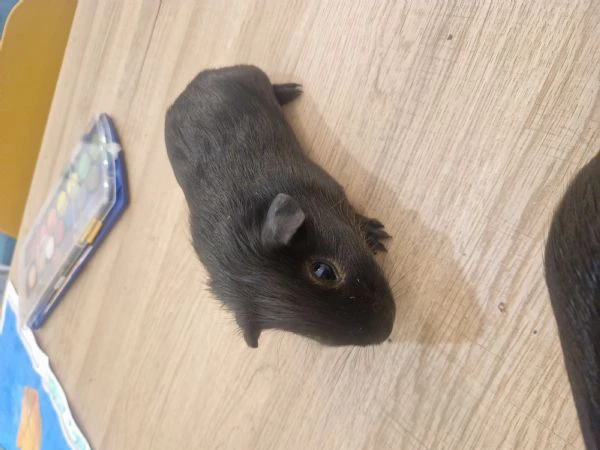 regalo papà e figlio giá abituati a stare insieme | Foto 2