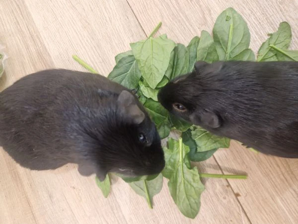 regalo papà e figlio giá abituati a stare insieme | Foto 1