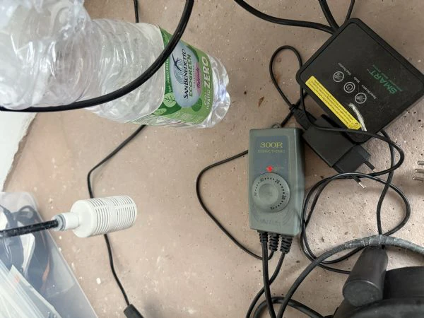 vendo pitone reale + teca + tutti gli accessori  | Foto 4