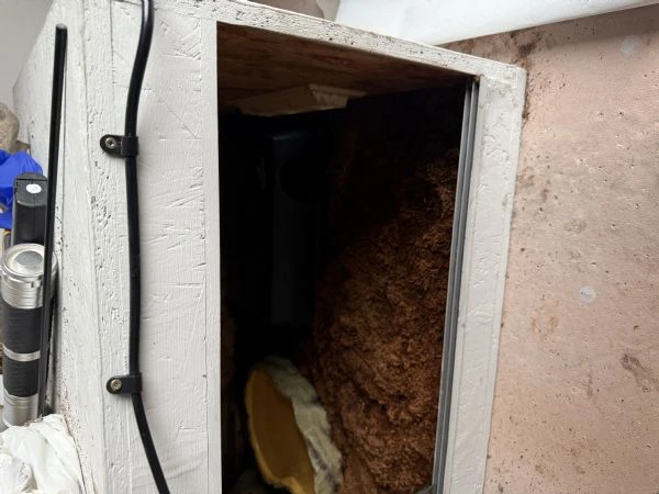 vendo pitone reale + teca + tutti gli accessori  | Foto 1