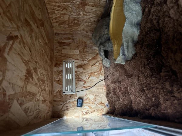 vendo pitone reale + teca + tutti gli accessori  | Foto 0