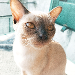 Marco